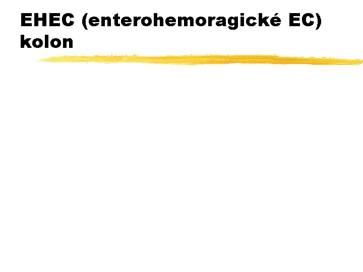 EHEC (enterohemoragické EC) kolon 