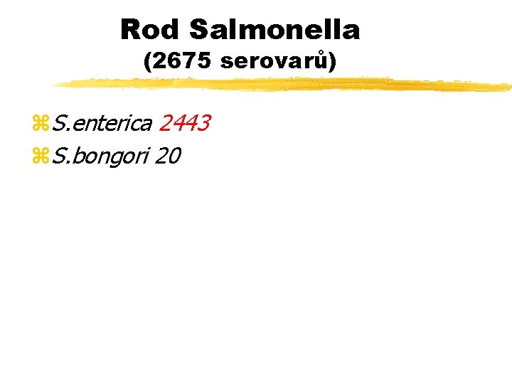 Rod Salmonella (2675 serovarů) z. S. enterica 2443 z. S. bongori 20 
