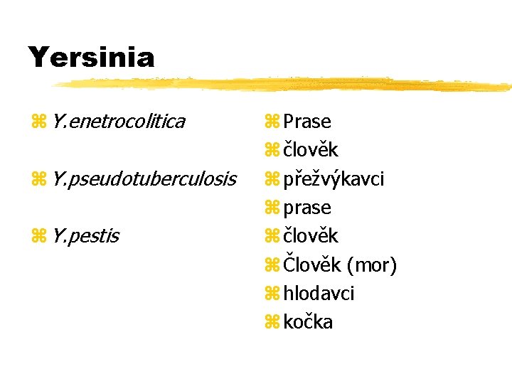 Yersinia z Y. enetrocolitica z Y. pseudotuberculosis z Y. pestis z Prase z člověk