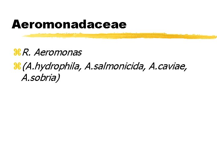 Aeromonadaceae z. R. Aeromonas z(A. hydrophila, A. salmonicida, A. caviae, A. sobria) 