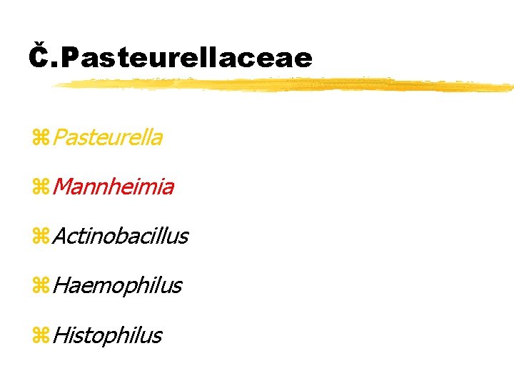 Č. Pasteurellaceae z. Pasteurella z. Mannheimia z. Actinobacillus z. Haemophilus z. Histophilus 