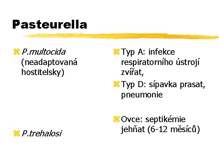 Pasteurella z P. multocida (neadaptovaná hostitelsky) z P. trehalosi z Typ A: infekce respiratorního