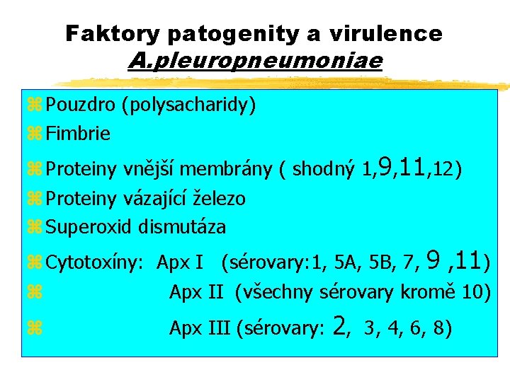 Faktory patogenity a virulence A. pleuropneumoniae z Pouzdro (polysacharidy) z Fimbrie z Proteiny vnější