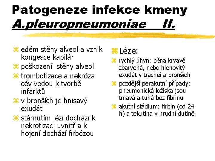 Patogeneze infekce kmeny A. pleuropneumoniae z edém stěny alveol a vznik kongesce kapilár z