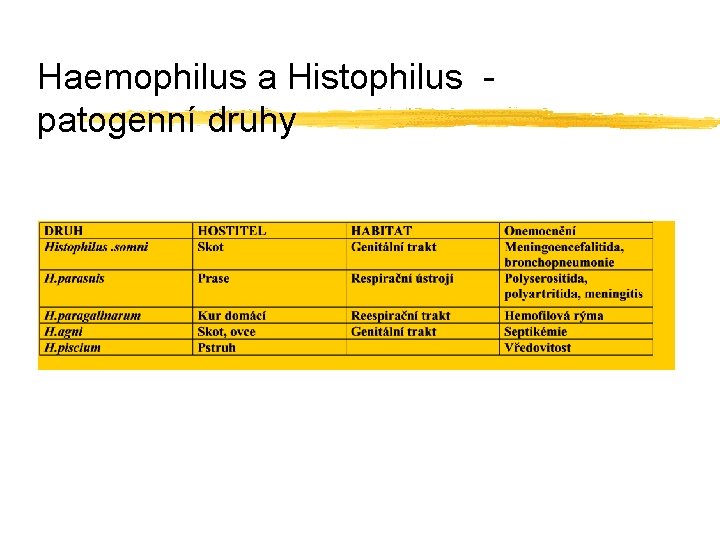 Haemophilus a Histophilus patogenní druhy 