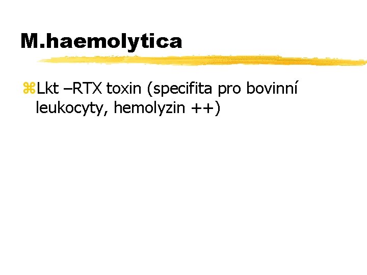 M. haemolytica z. Lkt –RTX toxin (specifita pro bovinní leukocyty, hemolyzin ++) 