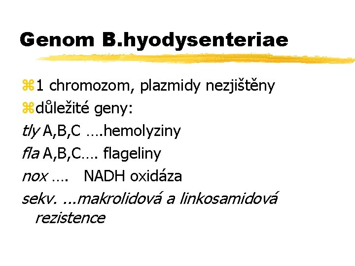 Genom B. hyodysenteriae z 1 chromozom, plazmidy nezjištěny zdůležité geny: tly A, B, C