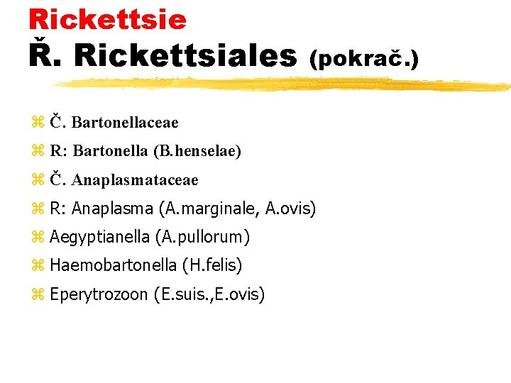 Rickettsie Ř. Rickettsiales (pokrač. ) z Č. Bartonellaceae z R: Bartonella (B. henselae) z