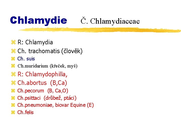 Chlamydie Č. Chlamydiaceae z R: Chlamydia z Ch. trachomatis (člověk) z Ch. suis z