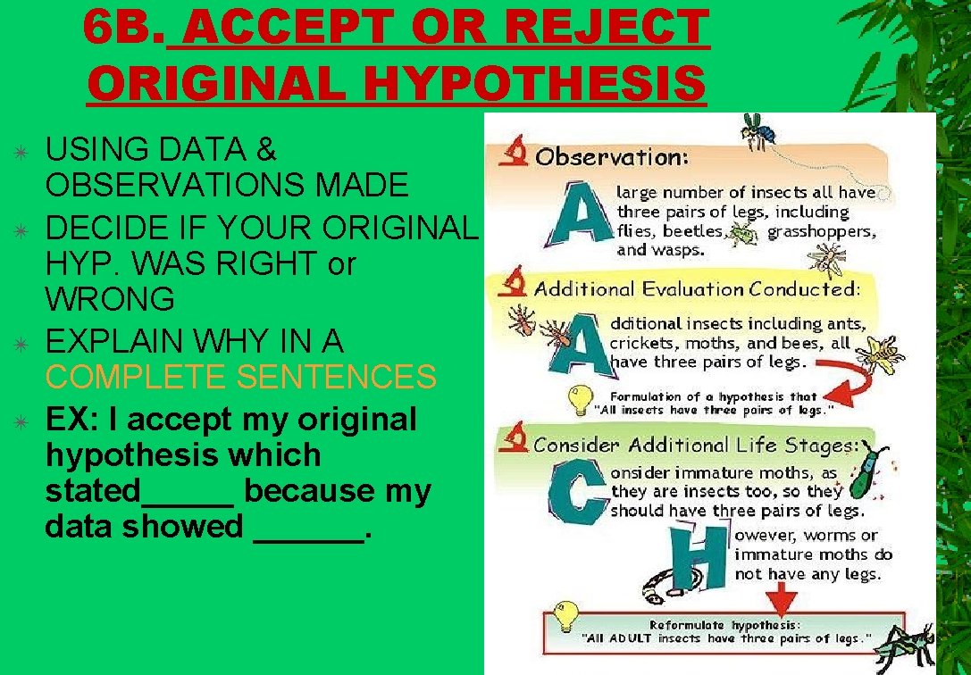 6 B. ACCEPT OR REJECT ORIGINAL HYPOTHESIS ✴ ✴ USING DATA & OBSERVATIONS MADE