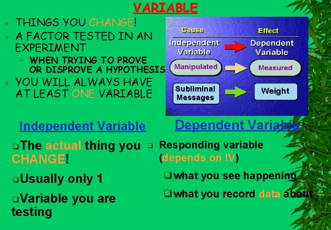 VARIABLE ✴ ✴ THINGS YOU CHANGE! A FACTOR TESTED IN AN EXPERIMENT – WHEN