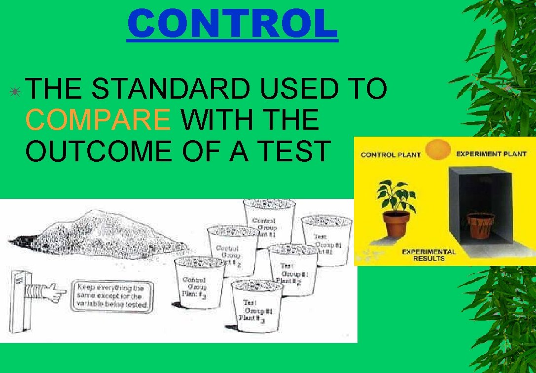 CONTROL ✴THE STANDARD USED TO COMPARE WITH THE OUTCOME OF A TEST 
