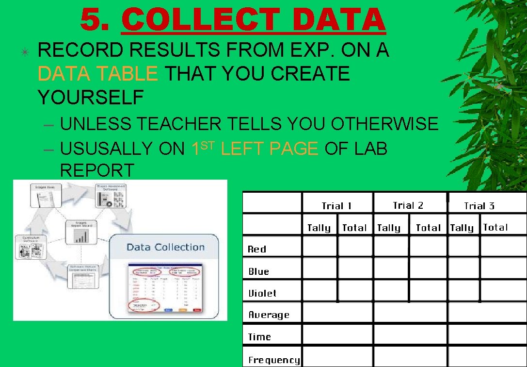 5. COLLECT DATA ✴ RECORD RESULTS FROM EXP. ON A DATA TABLE THAT YOU