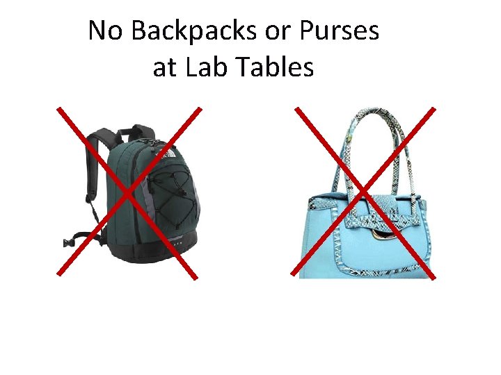 No Backpacks or Purses at Lab Tables 