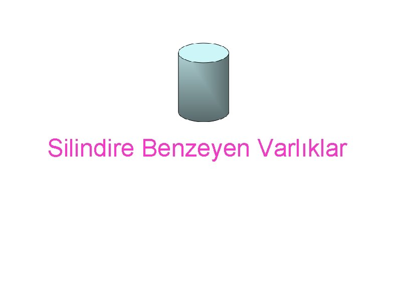 Silindire Benzeyen Varlıklar 