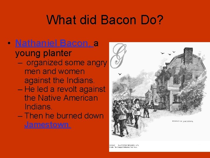What did Bacon Do? • Nathaniel Bacon, a young planter – organized some angry