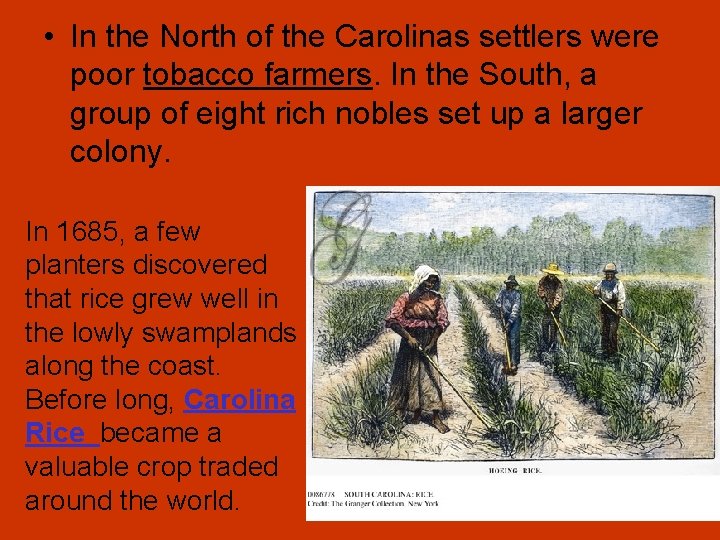  • In the North of the Carolinas settlers were poor tobacco farmers. In