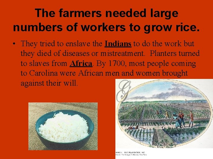 The farmers needed large numbers of workers to grow rice. • They tried to