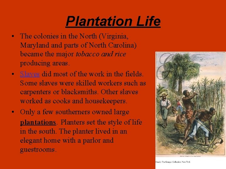 Plantation Life • The colonies in the North (Virginia, Maryland parts of North Carolina)