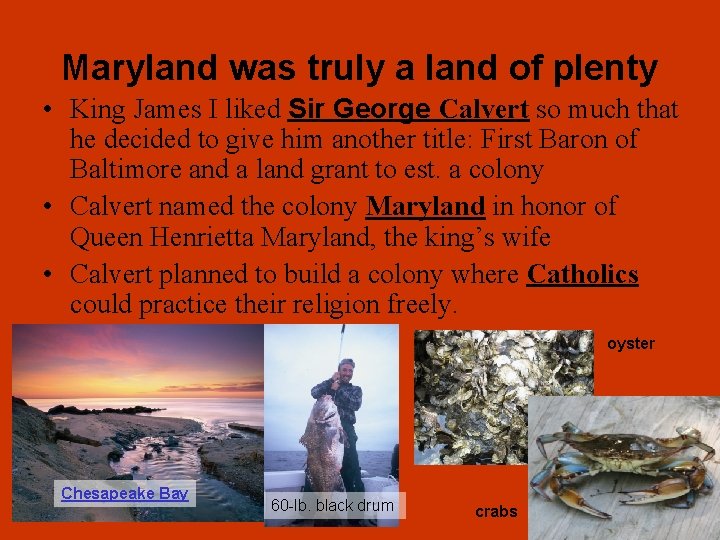 Maryland was truly a land of plenty • King James I liked Sir George