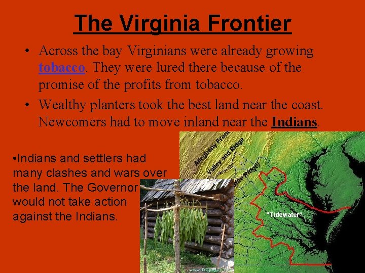 The Virginia Frontier • Across the bay Virginians were already growing tobacco. They were