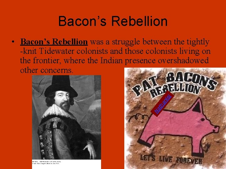 Bacon’s Rebellion Na th an i el • Bacon’s Rebellion was a struggle between