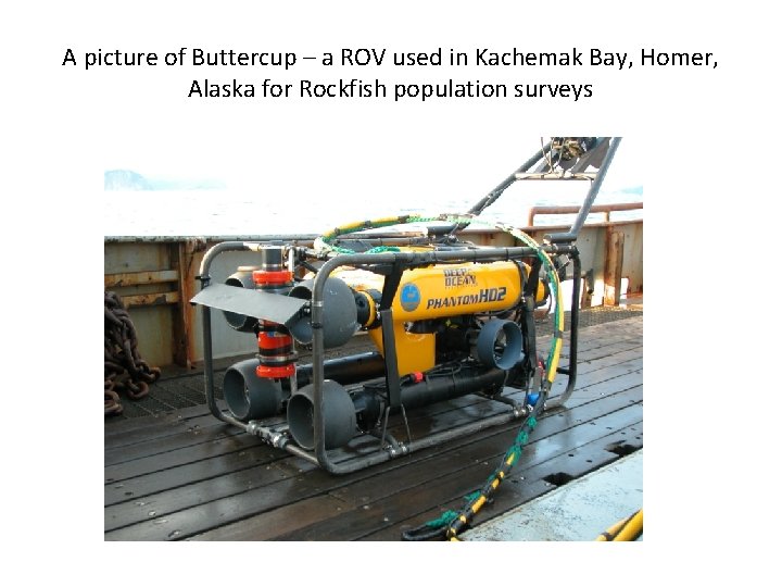 A picture of Buttercup – a ROV used in Kachemak Bay, Homer, Alaska for A picture of Buttercup – a ROV used in Kachemak Bay, Homer, Alaska for