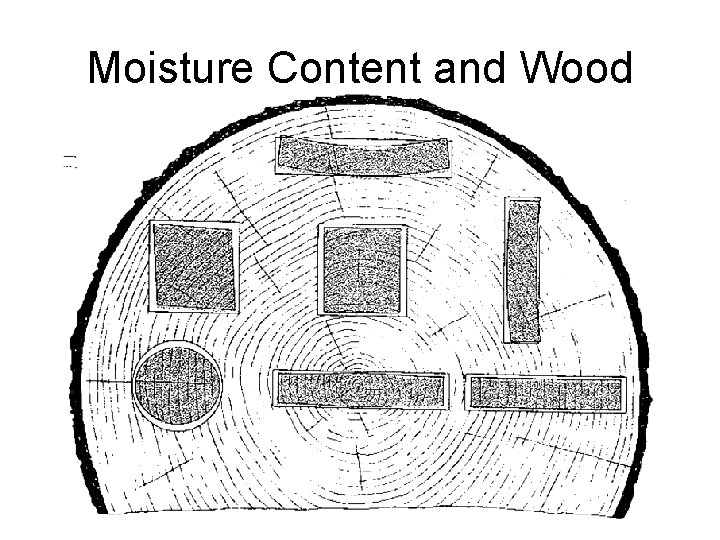 Moisture Content and Wood 
