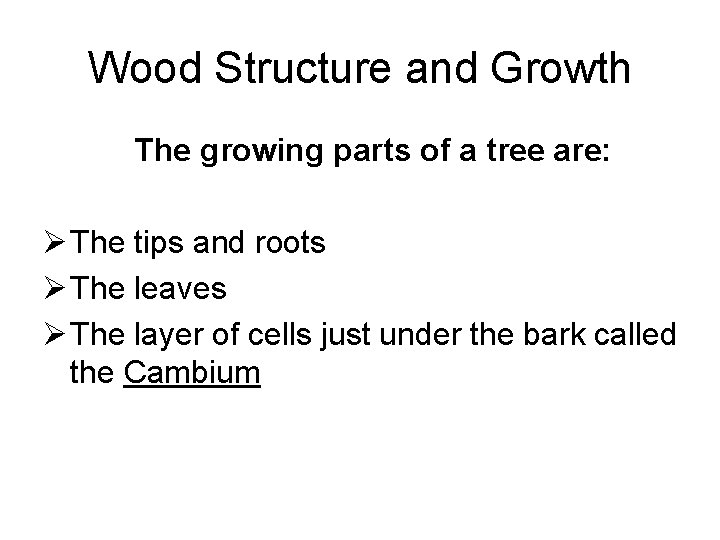 Wood Structure and Growth The growing parts of a tree are: Ø The tips
