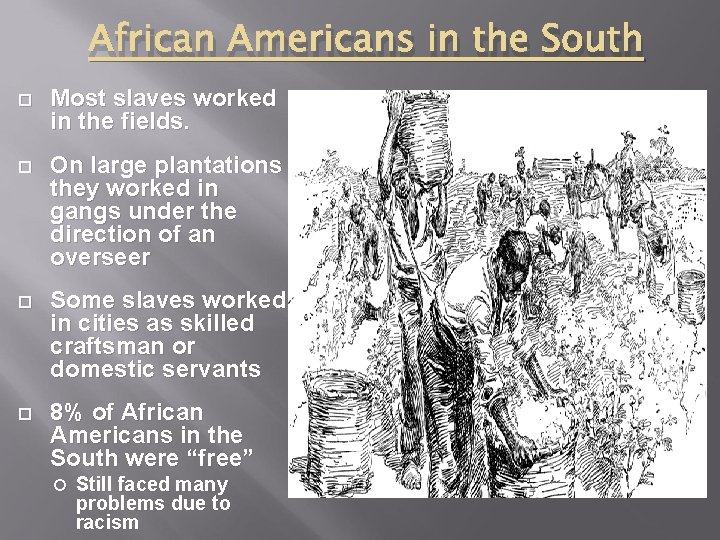 African Americans in the South Most slaves worked in the fields. On large plantations