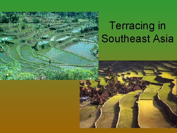 Terracing in Southeast Asia 