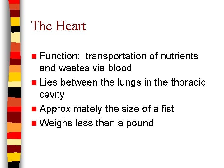 The Heart n Function: transportation of nutrients and wastes via blood n Lies between