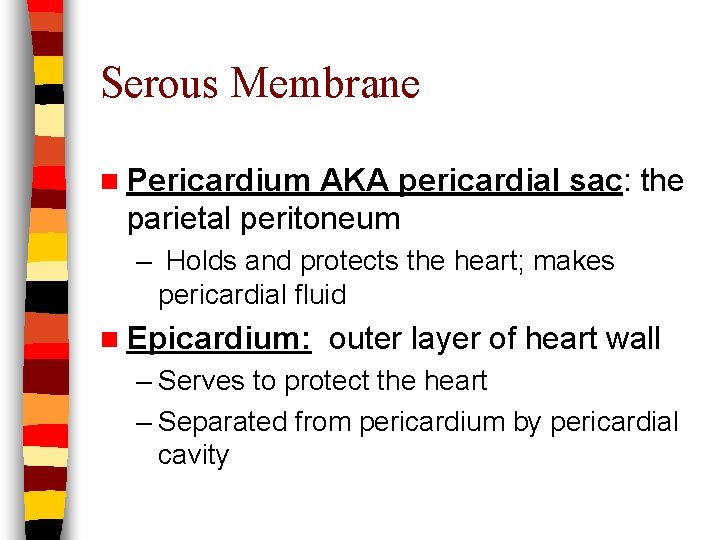 Serous Membrane n Pericardium AKA pericardial sac: the parietal peritoneum – Holds and protects