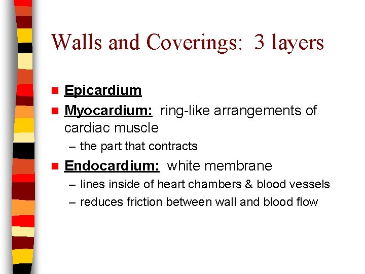 Walls and Coverings: 3 layers Epicardium n Myocardium: ring-like arrangements of cardiac muscle n