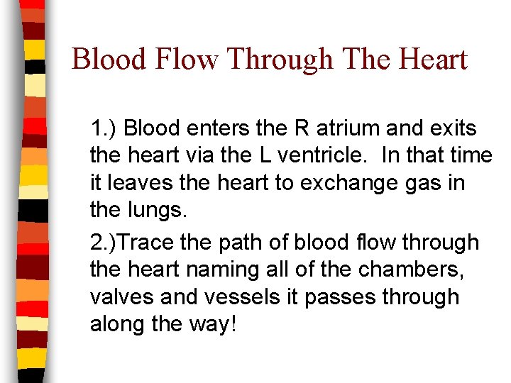 Blood Flow Through The Heart 1. ) Blood enters the R atrium and exits