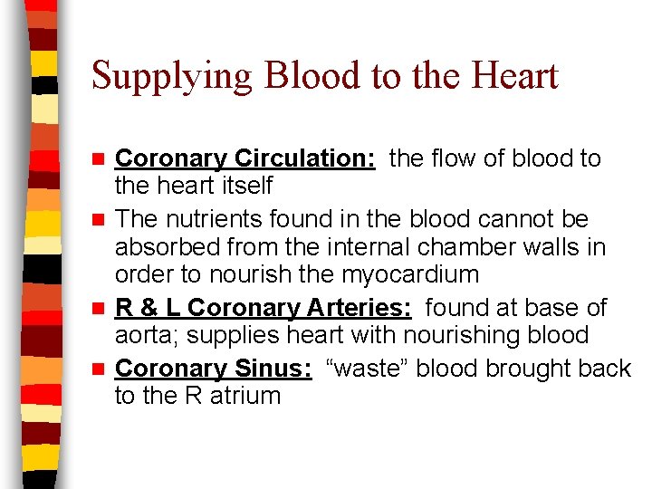 Supplying Blood to the Heart Coronary Circulation: the flow of blood to the heart