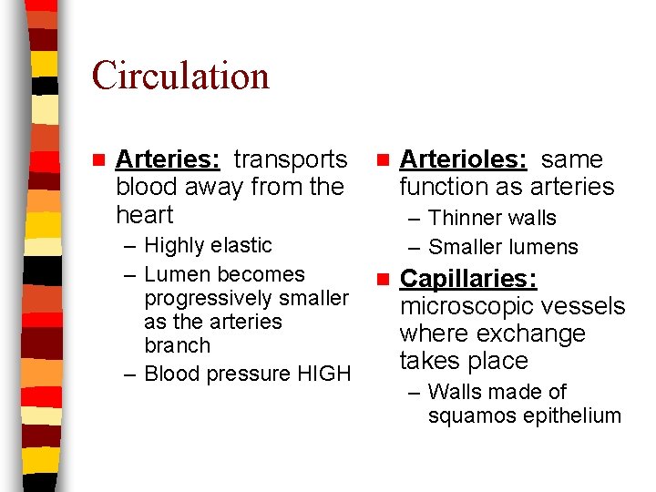 Circulation n Arteries: transports blood away from the heart – Highly elastic – Lumen