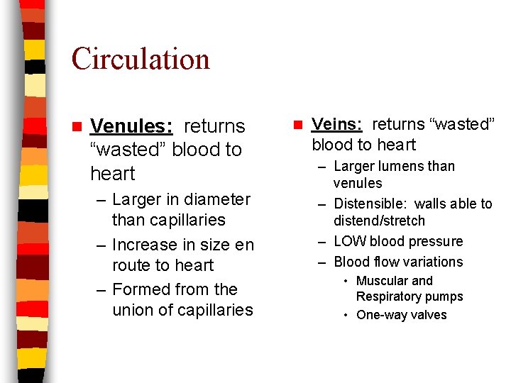Circulation n Venules: returns “wasted” blood to heart – Larger in diameter than capillaries