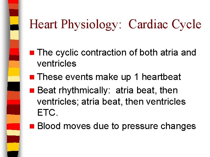 Heart Physiology: Cardiac Cycle n The cyclic contraction of both atria and ventricles n