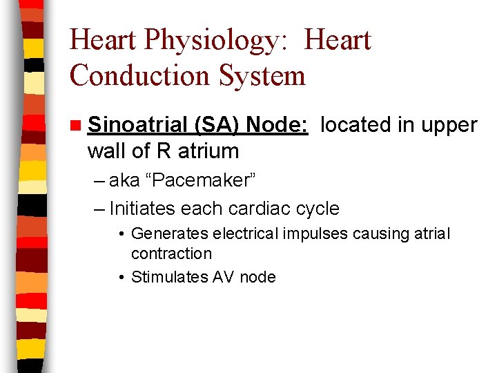 Heart Physiology: Heart Conduction System n Sinoatrial (SA) Node: located in upper wall of
