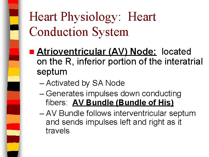 Heart Physiology: Heart Conduction System n Atrioventricular (AV) Node: located on the R, inferior