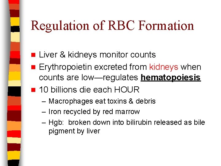 Regulation of RBC Formation Liver & kidneys monitor counts n Erythropoietin excreted from kidneys