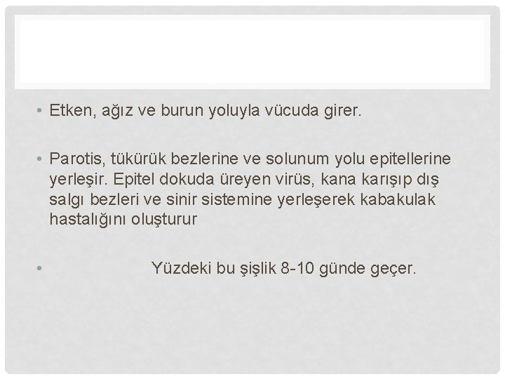  • Etken, ağız ve burun yoluyla vücuda girer. • Parotis, tükürük bezlerine ve