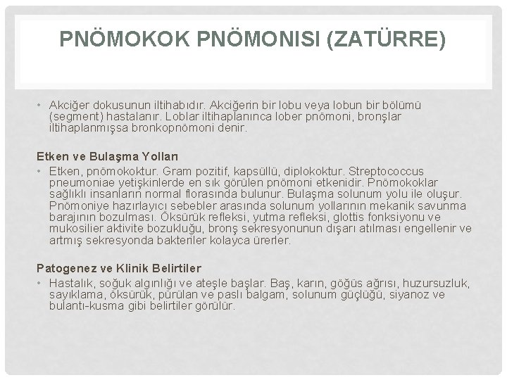 PNÖMOKOK PNÖMONISI (ZATÜRRE) • Akciğer dokusunun iltihabıdır. Akciğerin bir lobu veya lobun bir bölümü