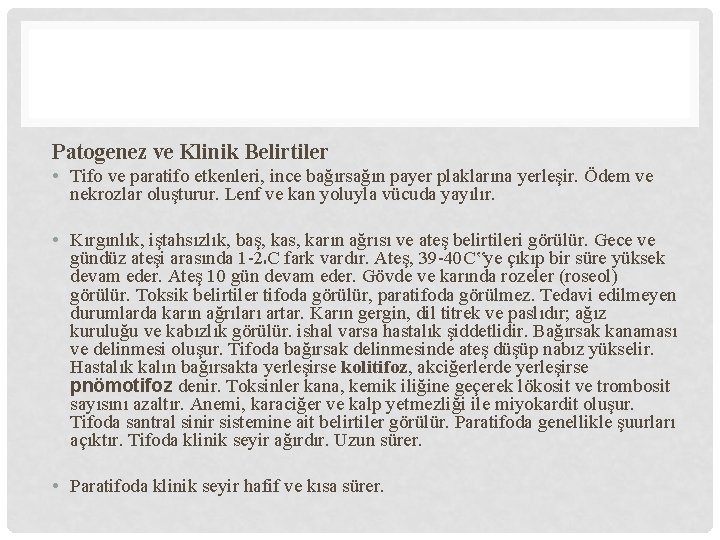 Patogenez ve Klinik Belirtiler • Tifo ve paratifo etkenleri, ince bağırsağın payer plaklarına yerleşir.