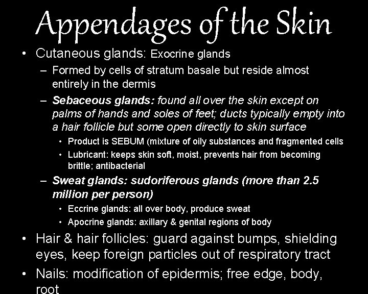 Appendages of the Skin • Cutaneous glands: Exocrine glands – Formed by cells of