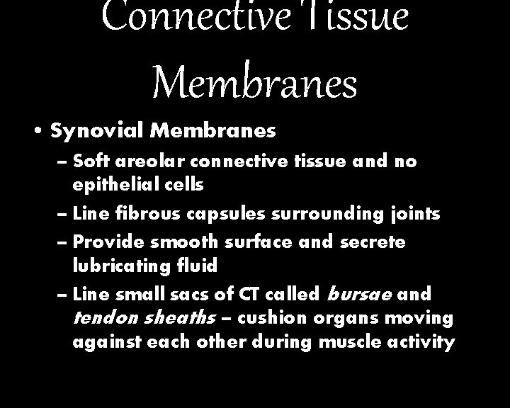 Connective Tissue Membranes • Synovial Membranes – Soft areolar connective tissue and no epithelial