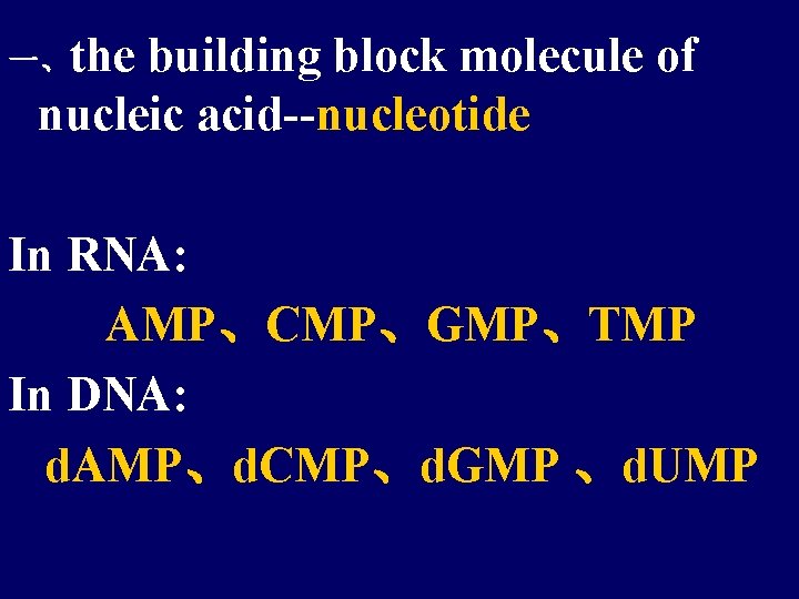 一、the building block molecule of nucleic acid--nucleotide In RNA: AMP、CMP、GMP、TMP In DNA: d. AMP、d.