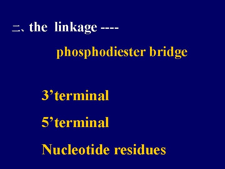 二、the linkage ---phosphodiester bridge 3’terminal 5’terminal Nucleotide residues 