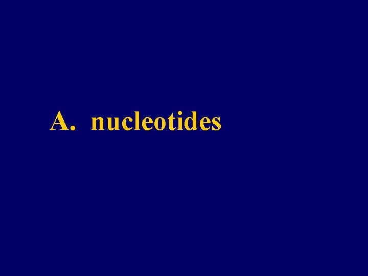 A. nucleotides 
